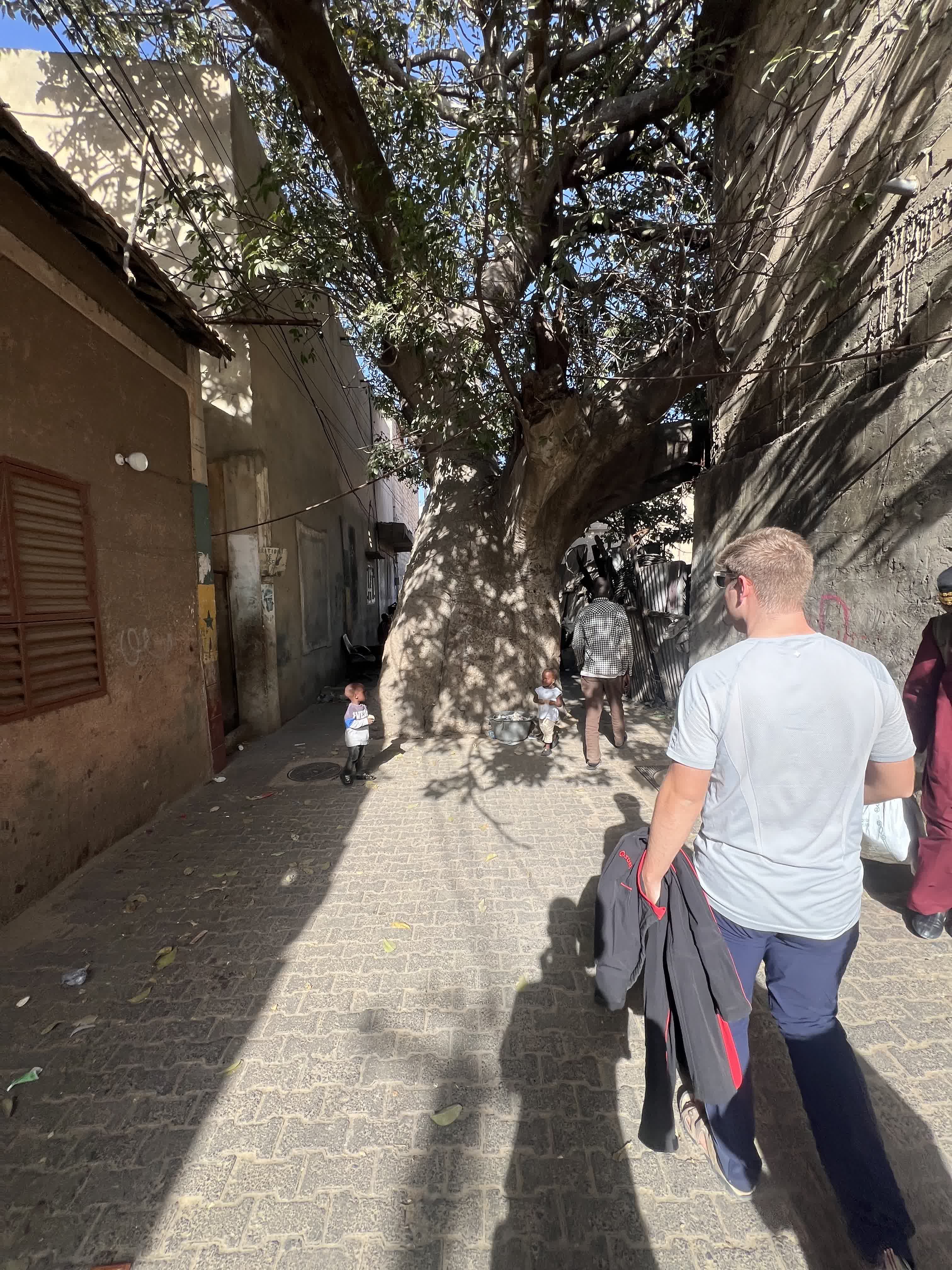 Baobab en medio de la calle