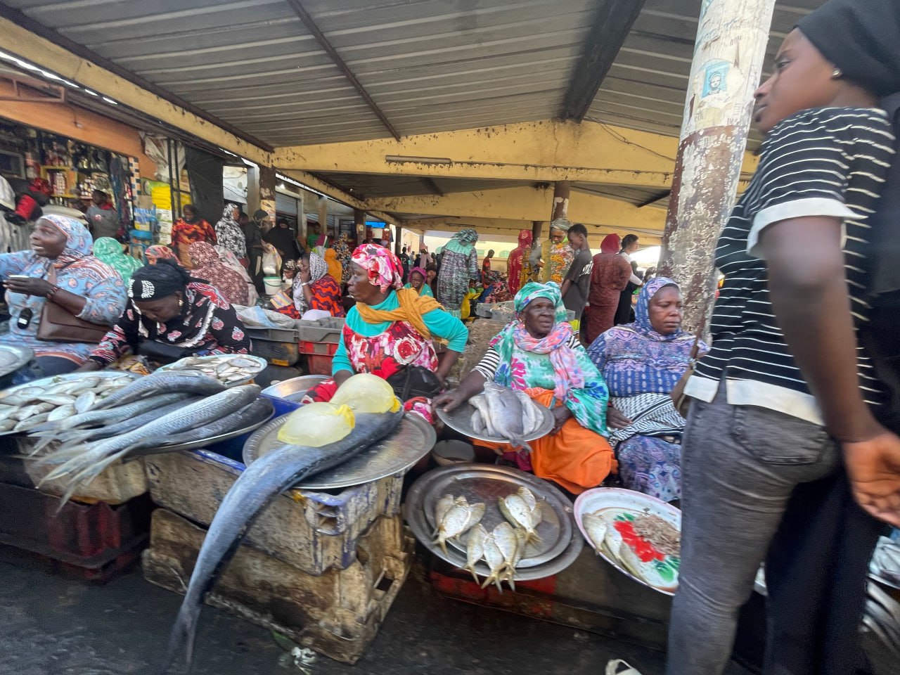 Market: Fish Section